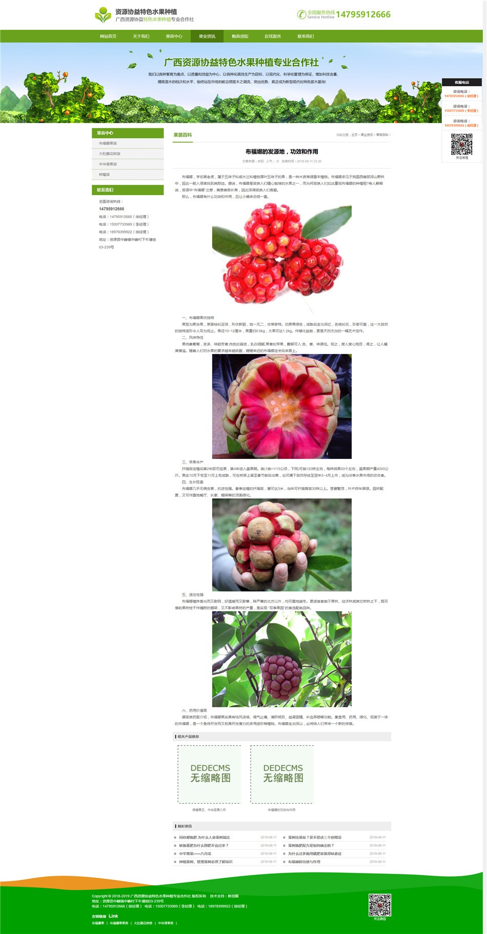 水果公司网站